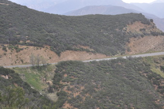 Enlarge photo 13