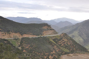Enlarge photo 15