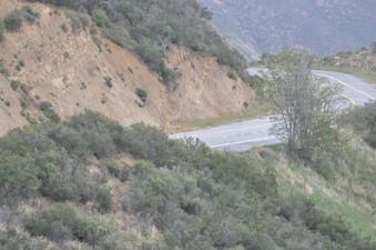Enlarge photo 18