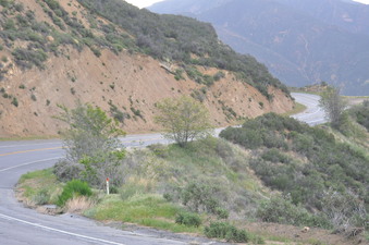 Enlarge photo 7