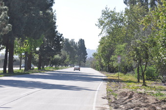WOODLEY
