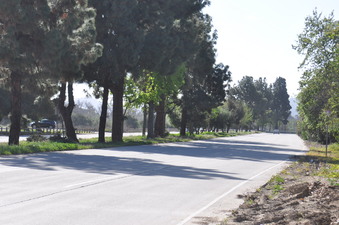 Enlarge photo 3