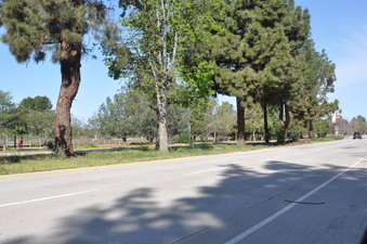 Enlarge photo 18