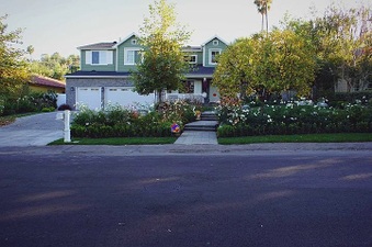 Enlarge photo 43