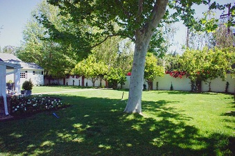 Enlarge photo 33