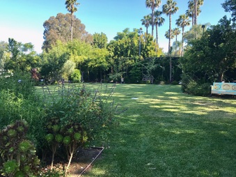 Enlarge photo 9