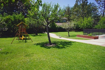 Enlarge photo 20