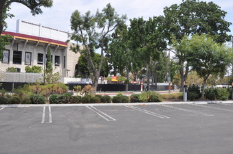 Enlarge photo 6