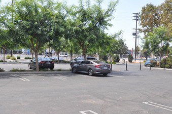 Enlarge photo 12