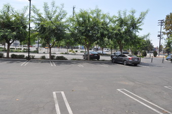 Enlarge photo 14