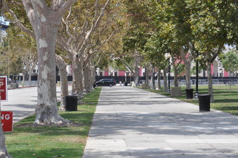 COLISEUM DRIVE SOUTH SIDEWALK 
