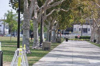 Enlarge photo 13