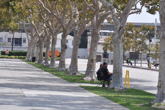 Enlarge photo 15
