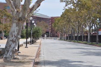 Enlarge photo 14