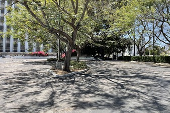 OPTIONAL PARKING LOTS