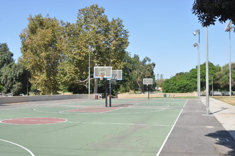 Enlarge photo 13