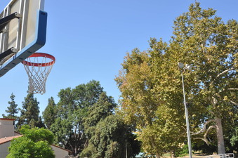 Enlarge photo 18