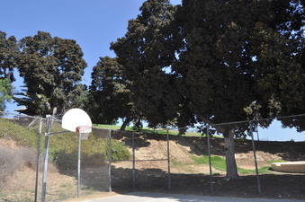 Enlarge photo 13