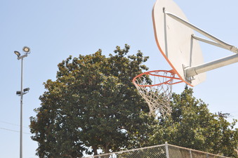 Enlarge photo 16