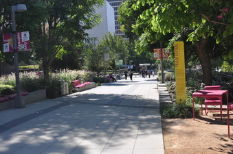 Enlarge photo 7