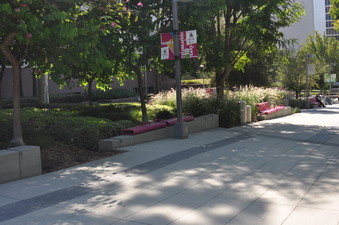 Enlarge photo 10