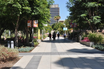 Enlarge photo 11