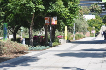 Enlarge photo 14