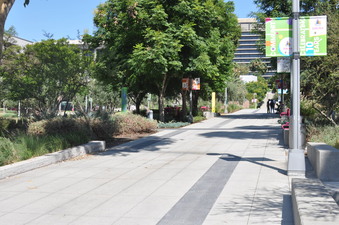 Enlarge photo 15