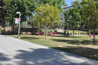 Enlarge photo 11