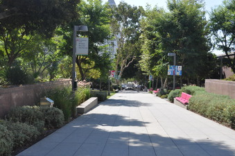 Enlarge photo 16
