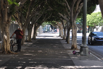 Enlarge photo 2