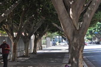 Enlarge photo 5