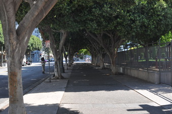 Enlarge photo 13