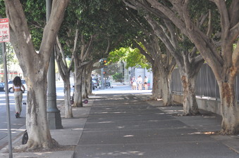 Enlarge photo 14