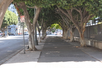 Enlarge photo 15