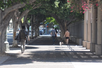 Enlarge photo 16