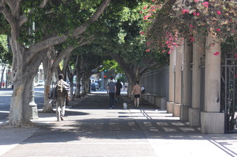 Enlarge photo 17
