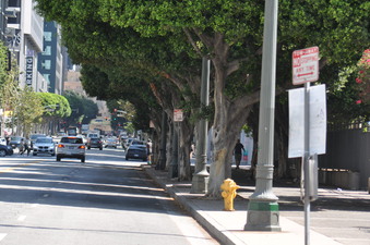 Enlarge photo 21