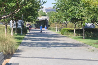 Enlarge photo 12