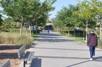 Enlarge photo 13