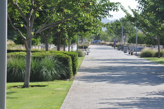 Enlarge photo 16