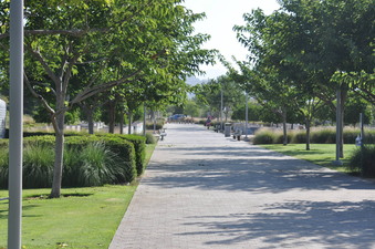 Enlarge photo 17