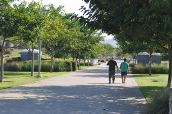 Enlarge photo 24