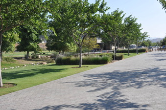 Enlarge photo 25