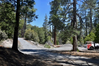 Enlarge photo 14