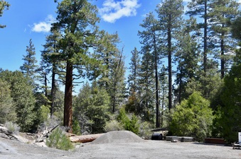 Enlarge photo 18