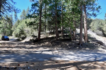 Enlarge photo 23