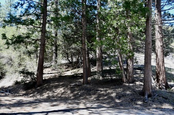 Enlarge photo 24