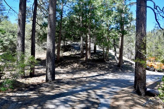 Enlarge photo 26
