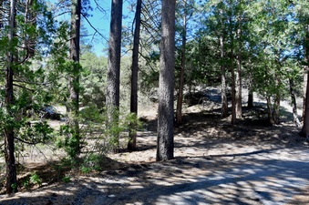 Enlarge photo 27
